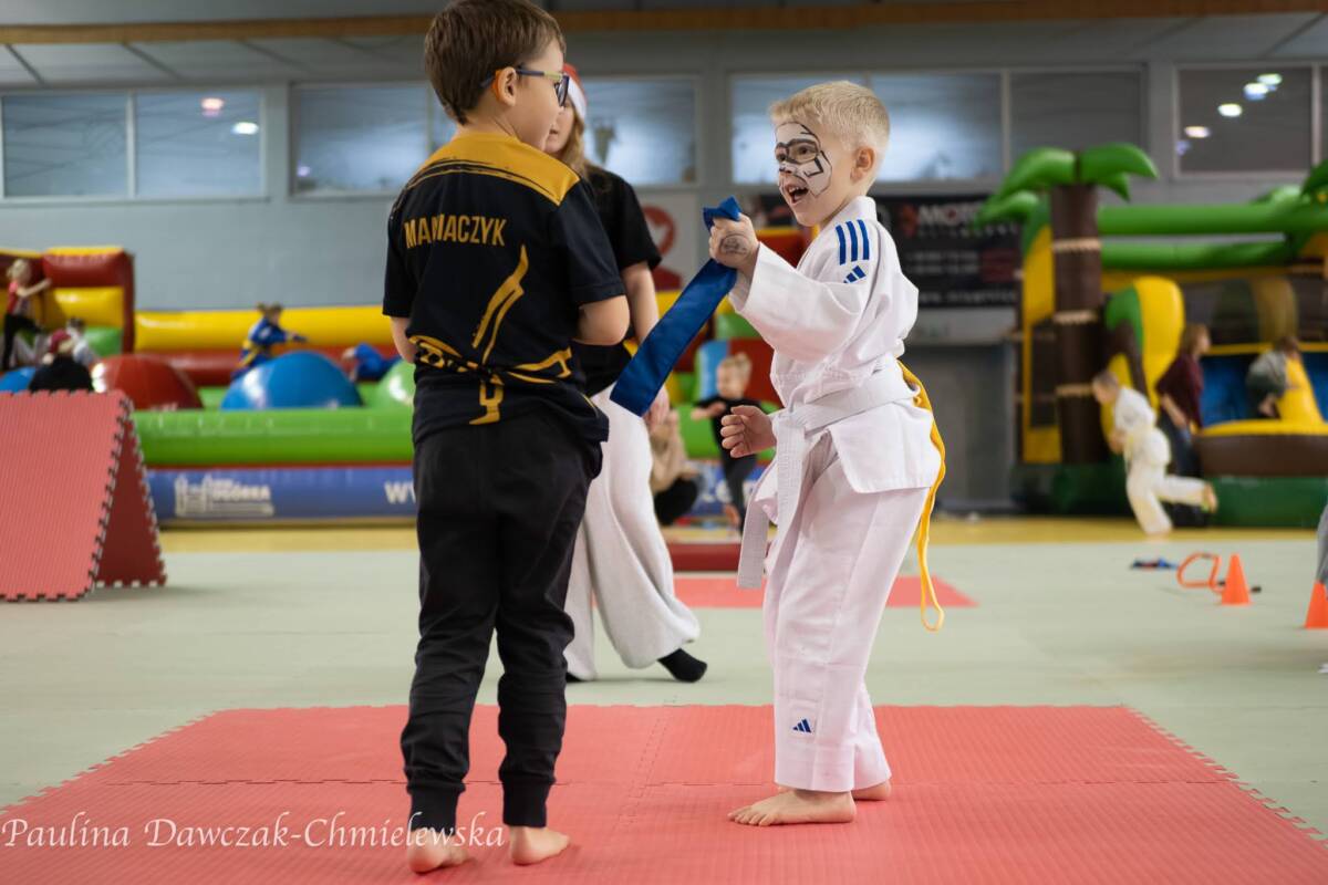 PiKCh_20251206_13358_2048px PiKCh_20251206_13358_2048px